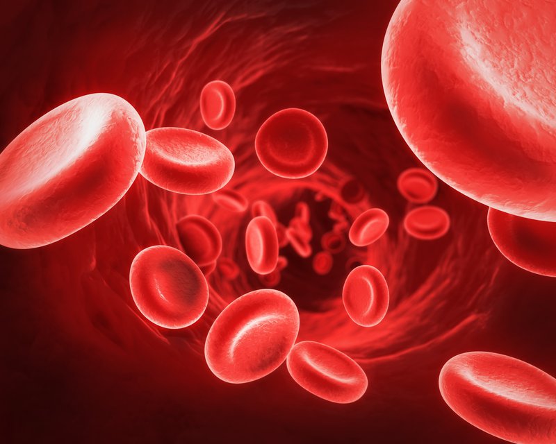 Tế bào máu