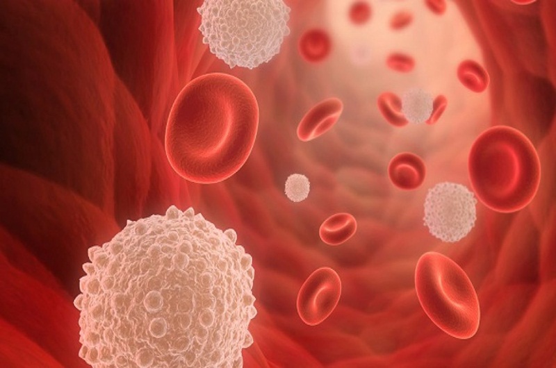 Tế bào máu - Bạch cầu